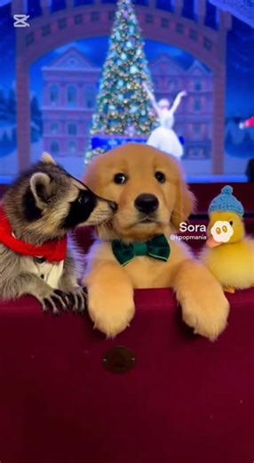 “Nutcracker Night Mystery with Puppy Pals 🎄🐾”