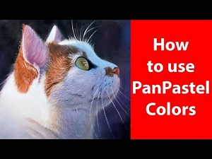 Master Panpastel Colors With Jason Morgan: A Complete Guide | JasonMorgan.co.uk