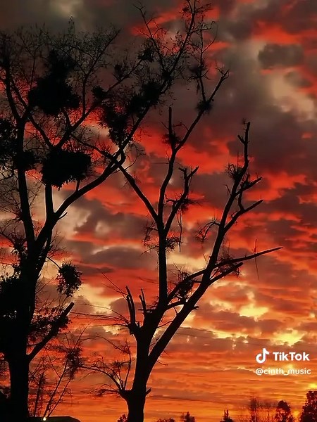 Explora el Tereré en los Paisajes de Paraguay