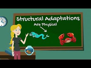 Animal Adaptations