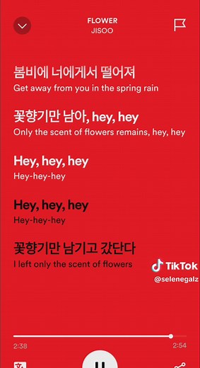 Jisoo 'FLOWER' Lyrics (English Translation) | Kpop Song