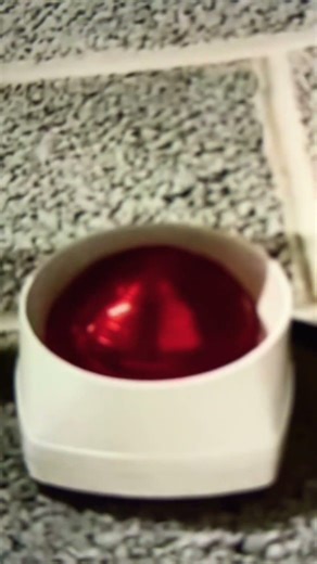 Gent fire alarm test!!!!!!