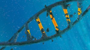 Studies Find CRISPR May Increase Cancer Risk, But That's Not All There Is To The Story