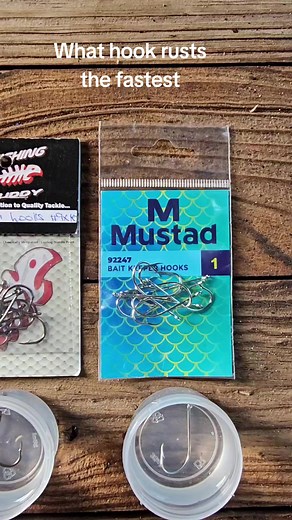 Rusty Fishing Hooks Test in Saltwater | Which Hook Rusts Fastest?