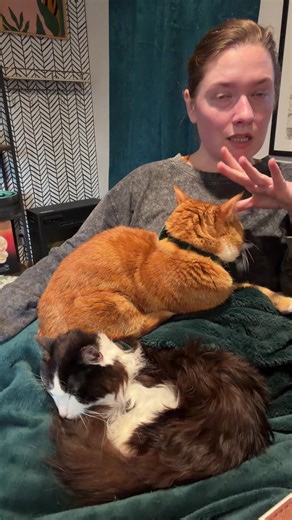 Just a quick check in - we are here and will be back with some fun updates soon as Rumpus and Vino explore a new home!