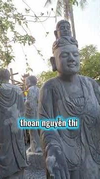 ngắm cảnh đẹp, thư giãn ,