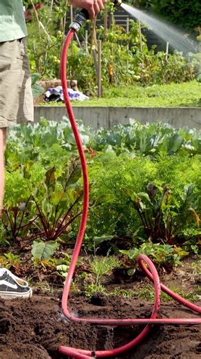 A Simple Method for Fixing a Leaking Pipe at Home | Creative Ideas