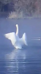 Scenery #Beautiful #Scenery #Facebookreels | Beautiful Nature And Gif