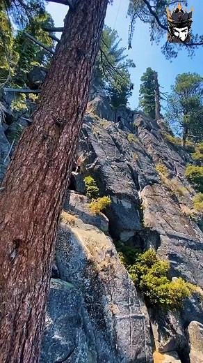 5K views | "Incredible Real-Life Events Caught on Tape" | Tawakal Tv | Facebook