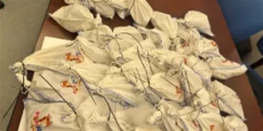 Photos: 39 live pythons discovered on tractor-trailer trying to cross into Mexico