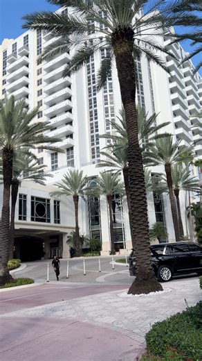 Palm Trees in Miami Beach 🏝️ | Camille's Miami