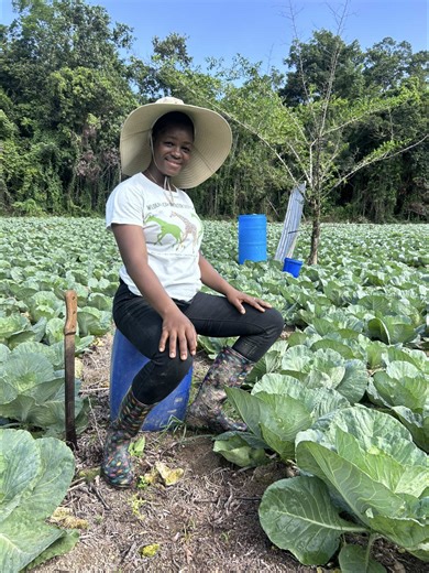 Life as a Farmer in Jamaica: A Day on the Tractor