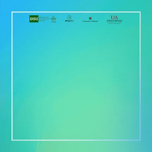 4.4K views · 44 reactions | The Global Handbook of Rice Policies is now available!  Rice plays a significant role in maintaining food and economic security. This handbook summarizes rice policies from over 50 countries around the world to help modelers, researchers, and policymakers make informed decisions. DOWNLOAD YOUR COPY AT bit.ly/41fJKiV | IRRI | Facebook