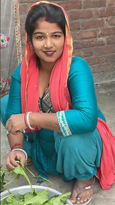 A disabled duckling helps his cat friend 🐥#duckrescue #cuteanimals #animalrescue