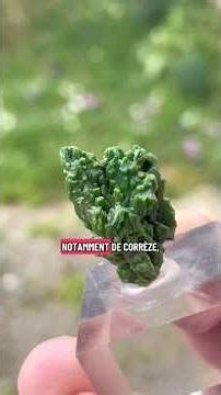 Discover the wonders we have in France! #geology #mineral #science