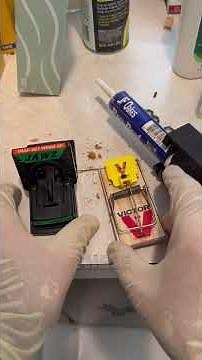 Which Snap Trap is Best for Mice & Rats? We Tested 2 Types (Pro Exterminator Review!)