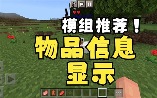 《Minecraft》模组推荐——物品信息显示器(兼容任何插件和任何语言)