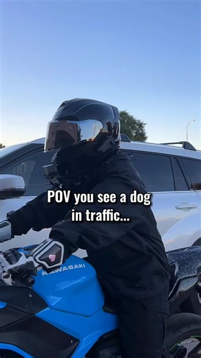 What did I even do to the dog😭😭 | dog