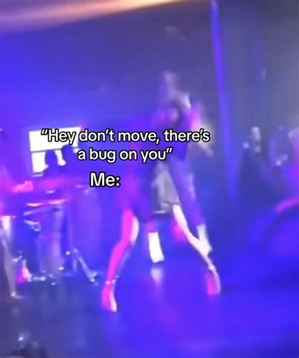 Scared of Bugs: My Fly Encounter Story