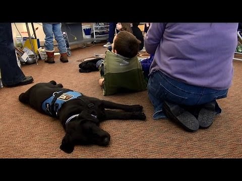 Alex and Gus- An Autistic Boy and His Service Dog
