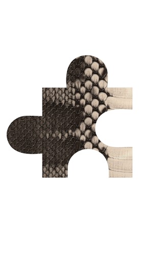 Adobe Illustrator Tutorial