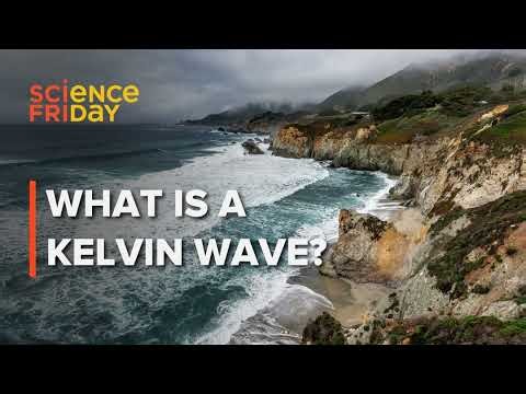 What is the Kelvin wave on the West Coast?