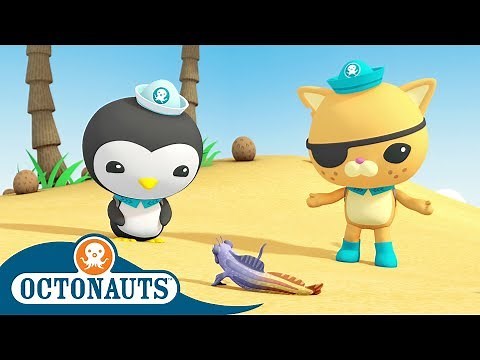 Octonauts - Can Fish Walk? | Cartoons for Kids | Underwater Sea Education