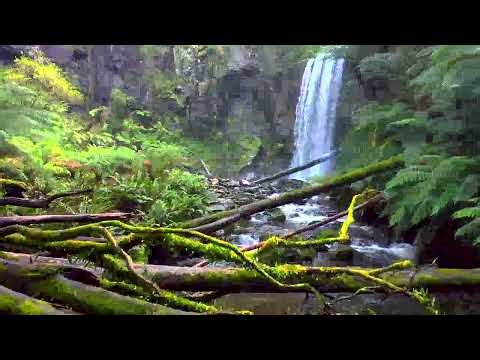 Majestic Waterfall Hidden in a Lush Tropical Rainforest 🌿💦