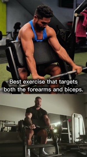 EZ Bar Reverse Preacher Curl #gym #fitness #workout #shorts