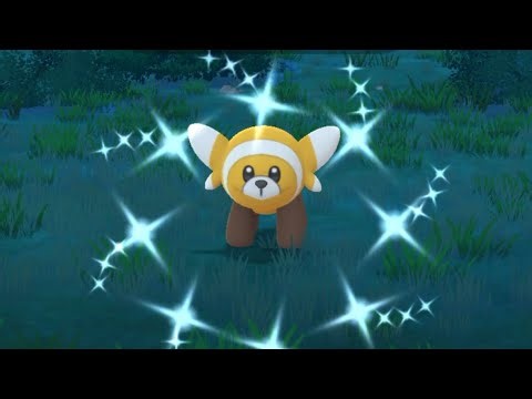 捕捉色違童偶熊🐻Catch shiny Stufful🐻