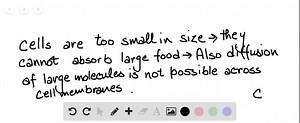 SOLVED:On a cellular level, why must food be broken down? a. Large… | Numerade