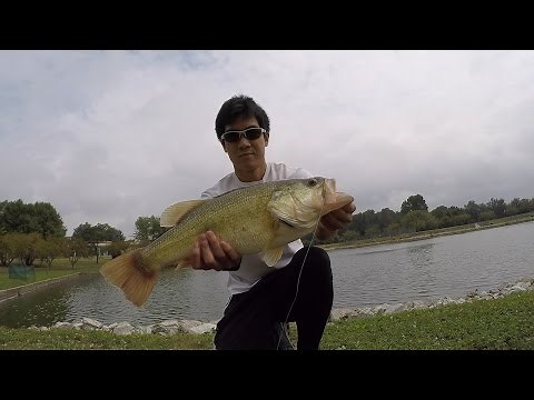 5 Lb Bass Caught from a Small Pond!!!