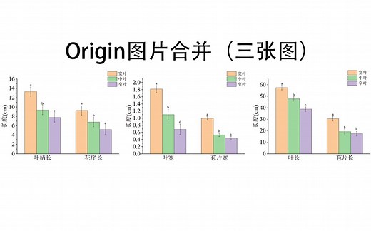 Origin图片合并（三张图片合并）