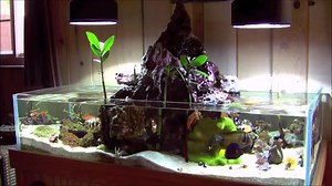 ► Das Vulkan Aquarium ◄ So etwas sieht man nicht alle Tage... Wunderschöne Seewasser Vulkan Aquarium! Gestaltet und umgesetzt von Kyle Verry #AquarienDeutschland | Aquarien Deutschland