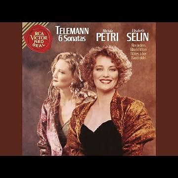 Sonata in B-Flat Major, TWV 40:101: II. Allegro