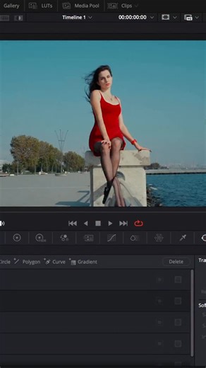 Amit on Instagram: "DaVinci Resolve power window"