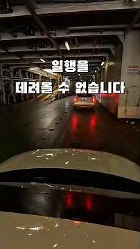 골드스텔라호 타고 제주에서 완도 오기 #제주터미널 #제주배 #travel #여행
