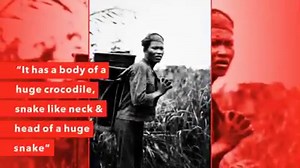 Sabah’s own ‘Loch Ness Monster’ or ‘Tambuakar’ | North Borneo Historical Society