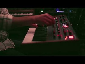 Dave Smith Prophet 12 soundscape - The way is broken