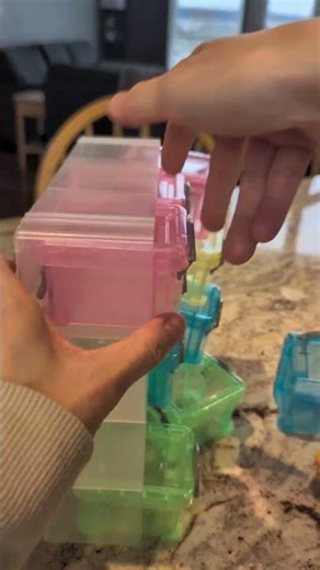 Dollarama Finds Worth Buying