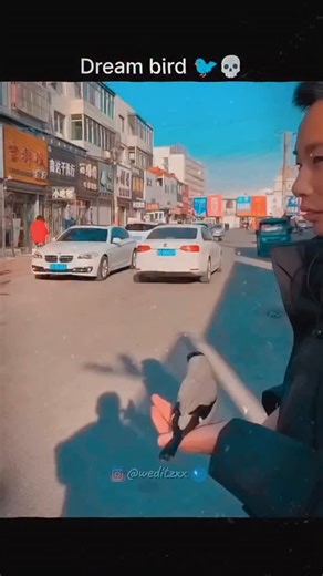 trool.e.editz on Instagram: "Check out the story 🥵 2006년 개봉한 영 (Labyrinth)은 단순한 판타지 모험을 넘어, 성장과 선택, 그리고 내면의 용기를 그린 작품입니다. 화려한 미로와 마법적 생물들 사이에서도, 영화는 끊임없이 “과연 진정한 길은 어디인가?”라는 질문을 던집니다. 복잡하게 얽힌 길과 신비로운 공간 속에서 주인공 사라가 맞닥뜨리는 도전은 관객의 긴장을 끝까지 유지하게 합니다. 사라가 동생을 구하기 위해 미로를 헤치고 나아가느