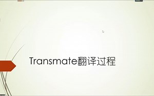如何利用Transmate进行高效翻译