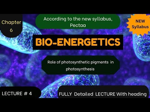 Lecture 04: Role of Photosynthetic Pigments in Photosynthesis | Bioenergetics | 1st Year | BioCore