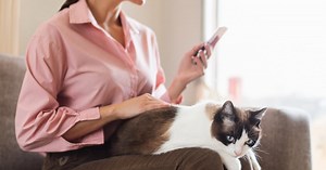 5 applications utiles pour vos animaux