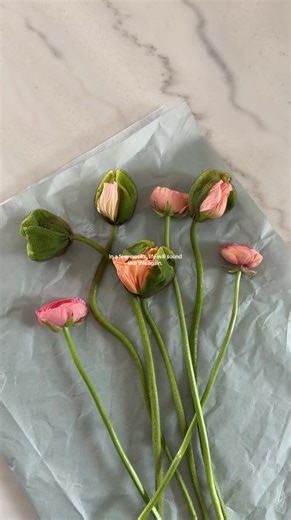 Embrace the Joy of Spring: A Visual Diary