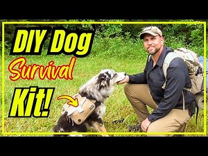 DIY Dog Hiking Kit: Build the Ultimate K9 hiking Bag & Harness!