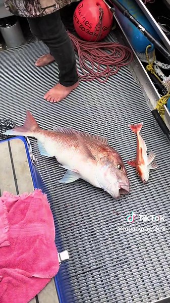 Big Dog Snapper Fishing Tips for Ocean Adventures