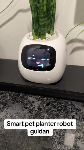 Smart pet planter robot guidan #robot #plata #smart #pet