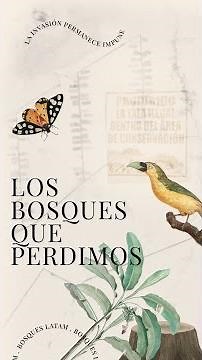 Los bosques que perdimos: ¿Cómo combatir la deforestación con datos incompletos?