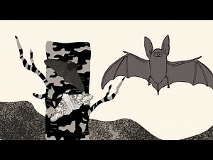 Evidências da Evolução Biológica